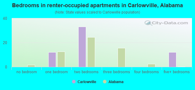 Bedrooms in renter-occupied apartments in Carlowville, Alabama