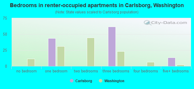 Bedrooms in renter-occupied apartments in Carlsborg, Washington