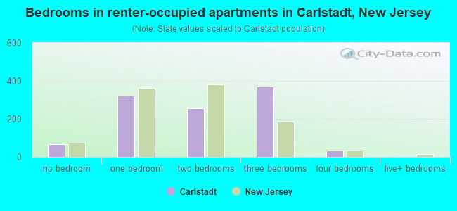 Bedrooms in renter-occupied apartments in Carlstadt, New Jersey