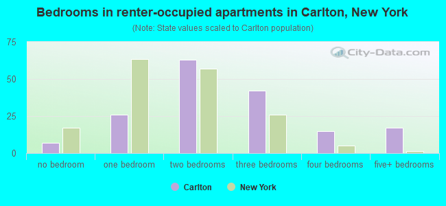 Bedrooms in renter-occupied apartments in Carlton, New York