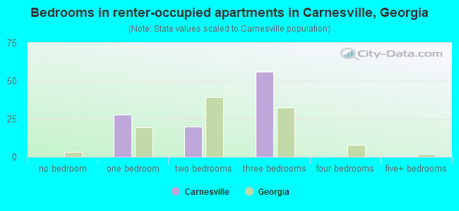 Bedrooms in renter-occupied apartments in Carnesville, Georgia