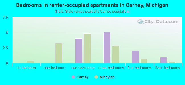 Bedrooms in renter-occupied apartments in Carney, Michigan