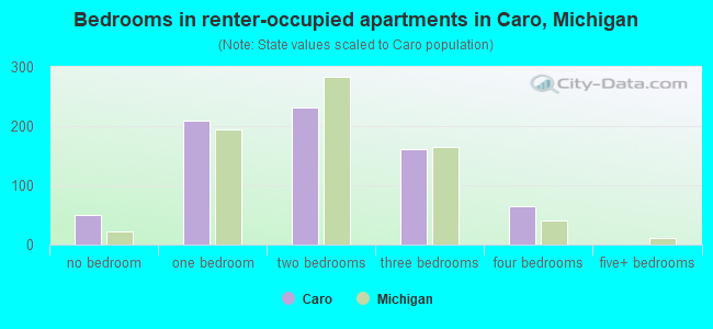 Bedrooms in renter-occupied apartments in Caro, Michigan