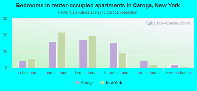 Bedrooms in renter-occupied apartments in Caroga, New York