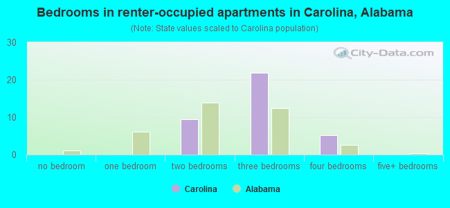 Bedrooms in renter-occupied apartments in Carolina, Alabama