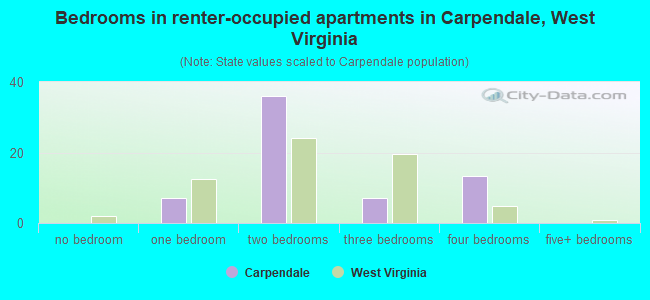 Bedrooms in renter-occupied apartments in Carpendale, West Virginia
