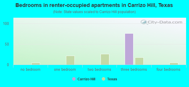 Bedrooms in renter-occupied apartments in Carrizo Hill, Texas