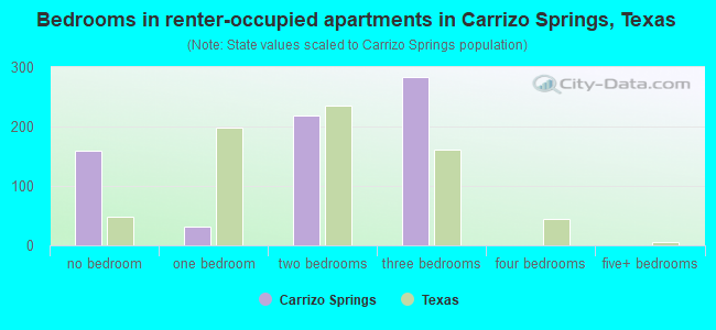 Bedrooms in renter-occupied apartments in Carrizo Springs, Texas