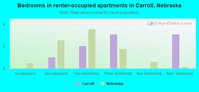 Bedrooms in renter-occupied apartments in Carroll, Nebraska