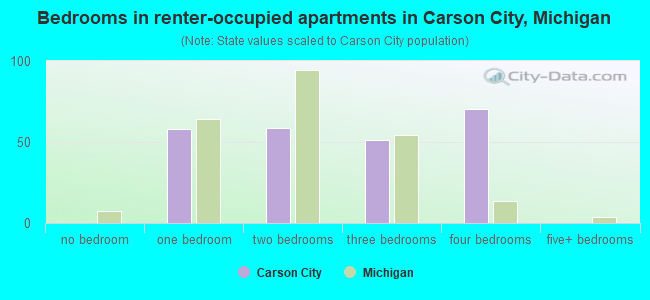 Bedrooms in renter-occupied apartments in Carson City, Michigan