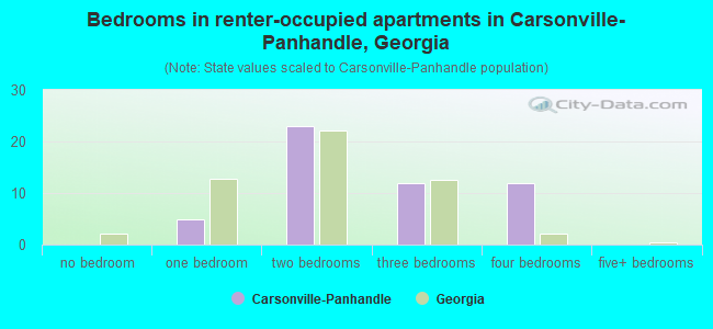 Bedrooms in renter-occupied apartments in Carsonville-Panhandle, Georgia