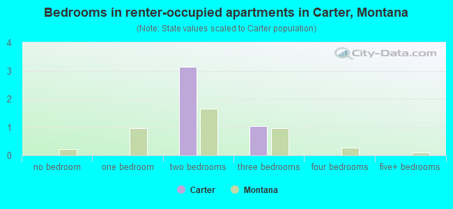 Bedrooms in renter-occupied apartments in Carter, Montana