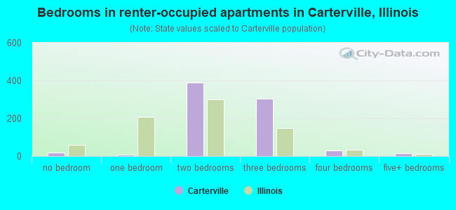 Bedrooms in renter-occupied apartments in Carterville, Illinois