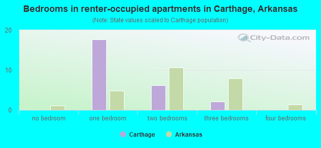 Bedrooms in renter-occupied apartments in Carthage, Arkansas