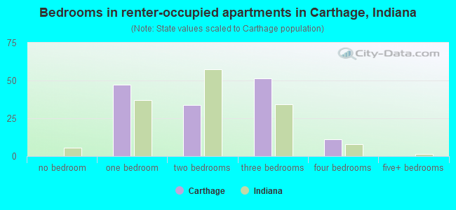 Bedrooms in renter-occupied apartments in Carthage, Indiana