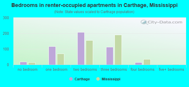Bedrooms in renter-occupied apartments in Carthage, Mississippi