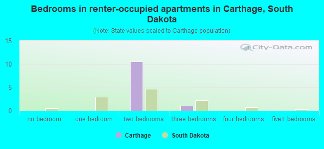 Bedrooms in renter-occupied apartments in Carthage, South Dakota