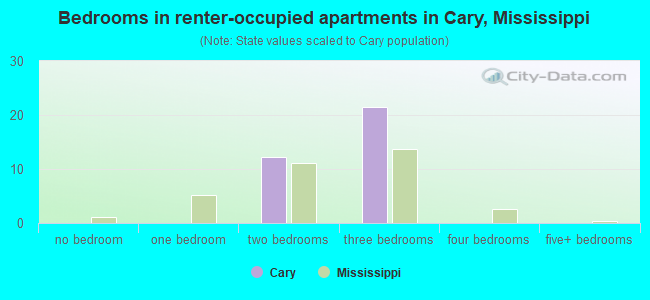 Bedrooms in renter-occupied apartments in Cary, Mississippi