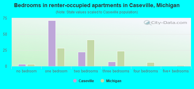 Bedrooms in renter-occupied apartments in Caseville, Michigan