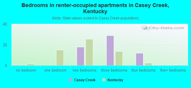 Bedrooms in renter-occupied apartments in Casey Creek, Kentucky