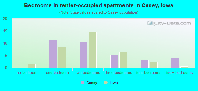 Bedrooms in renter-occupied apartments in Casey, Iowa