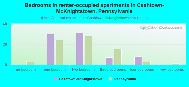 Bedrooms in renter-occupied apartments in Cashtown-McKnightstown, Pennsylvania