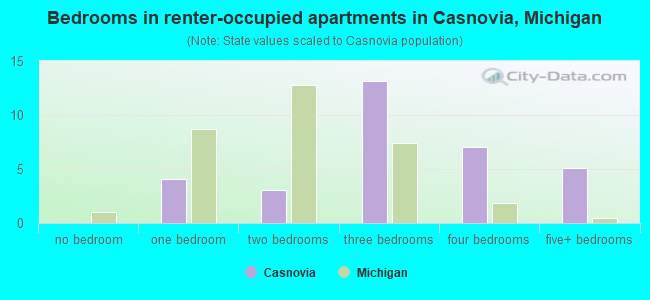 Bedrooms in renter-occupied apartments in Casnovia, Michigan