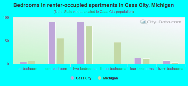 Bedrooms in renter-occupied apartments in Cass City, Michigan