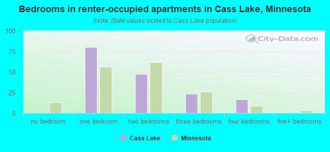 Bedrooms in renter-occupied apartments in Cass Lake, Minnesota