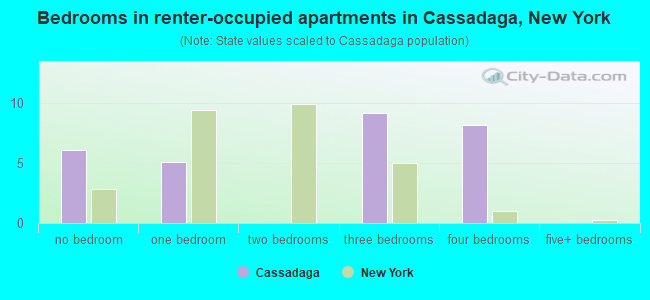 Bedrooms in renter-occupied apartments in Cassadaga, New York