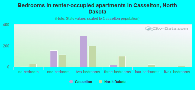 Bedrooms in renter-occupied apartments in Casselton, North Dakota