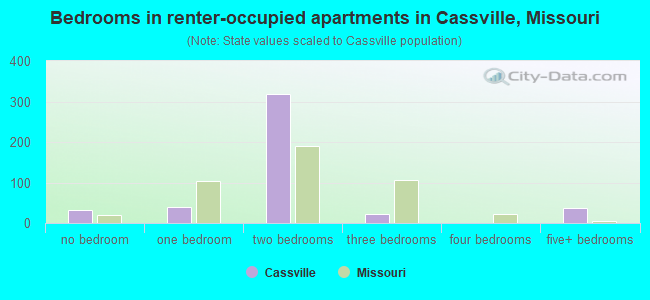 Bedrooms in renter-occupied apartments in Cassville, Missouri