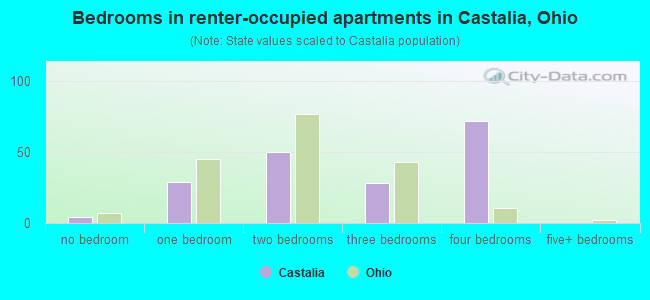 Bedrooms in renter-occupied apartments in Castalia, Ohio
