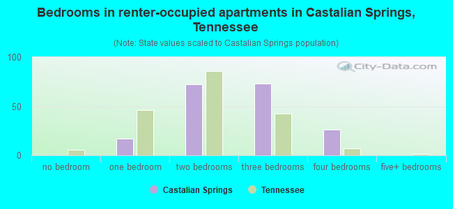 Bedrooms in renter-occupied apartments in Castalian Springs, Tennessee