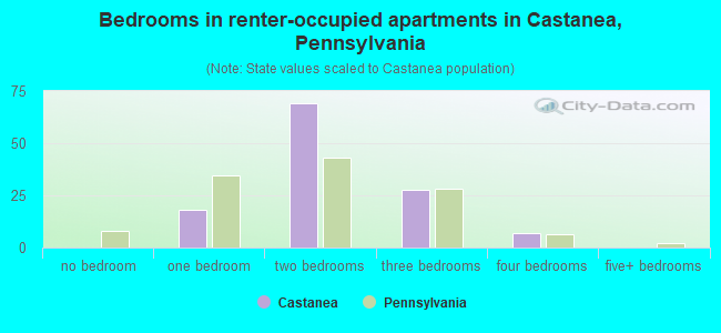 Bedrooms in renter-occupied apartments in Castanea, Pennsylvania