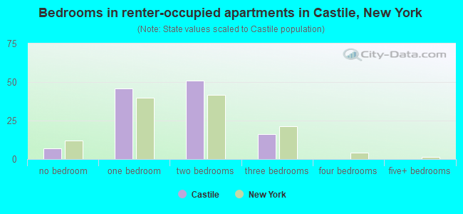 Bedrooms in renter-occupied apartments in Castile, New York