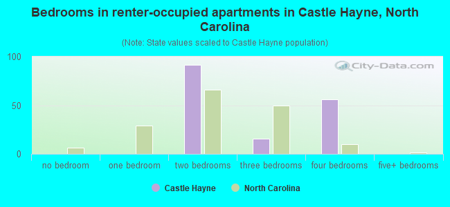 Bedrooms in renter-occupied apartments in Castle Hayne, North Carolina