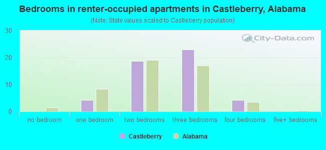 Bedrooms in renter-occupied apartments in Castleberry, Alabama