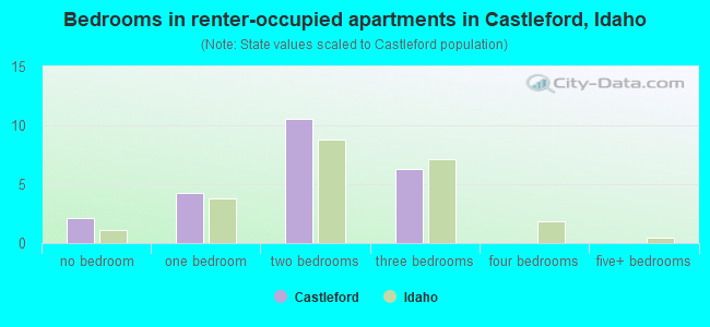 Bedrooms in renter-occupied apartments in Castleford, Idaho