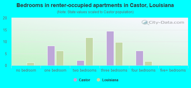 Bedrooms in renter-occupied apartments in Castor, Louisiana