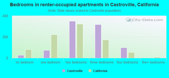 Bedrooms in renter-occupied apartments in Castroville, California