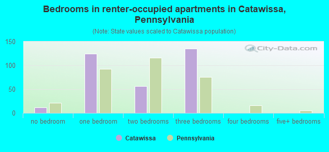 Bedrooms in renter-occupied apartments in Catawissa, Pennsylvania
