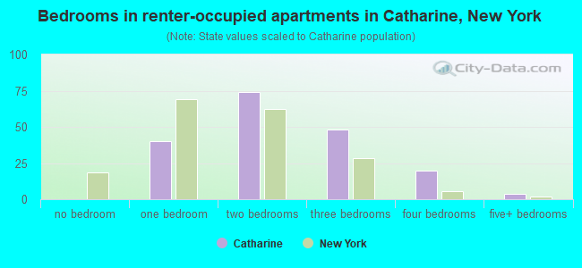Bedrooms in renter-occupied apartments in Catharine, New York