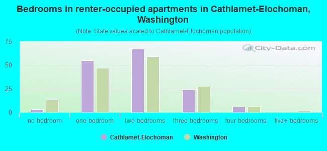 Bedrooms in renter-occupied apartments in Cathlamet-Elochoman, Washington
