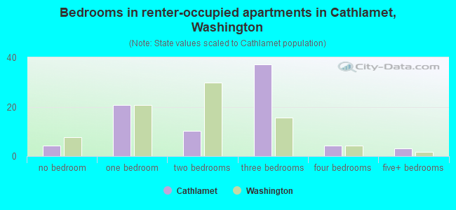 Bedrooms in renter-occupied apartments in Cathlamet, Washington