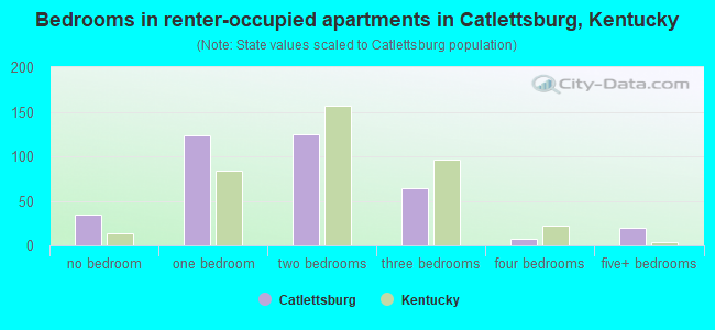 Bedrooms in renter-occupied apartments in Catlettsburg, Kentucky