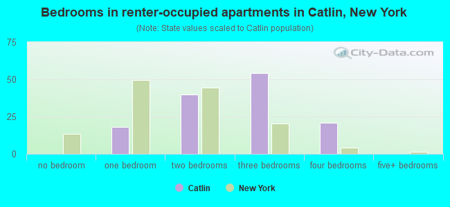 Bedrooms in renter-occupied apartments in Catlin, New York