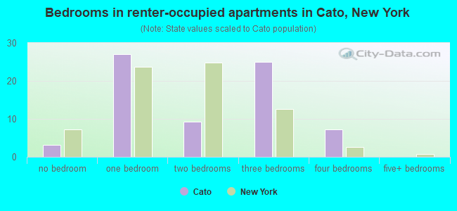 Bedrooms in renter-occupied apartments in Cato, New York