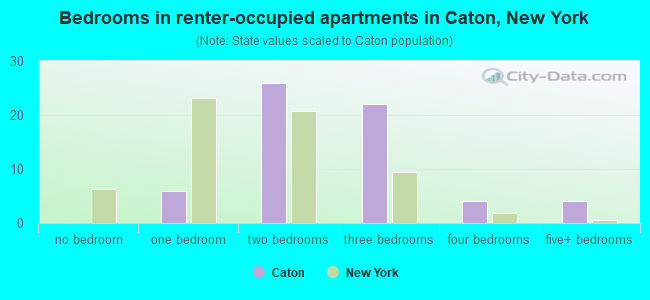 Bedrooms in renter-occupied apartments in Caton, New York