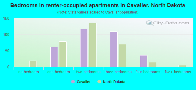 Bedrooms in renter-occupied apartments in Cavalier, North Dakota